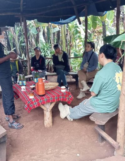 about us Freeingo Safaris