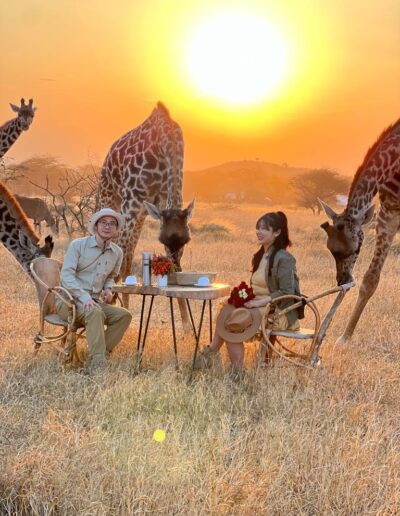 about us Freeingo Safaris