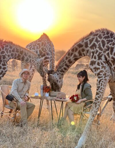 about us Freeingo Safaris
