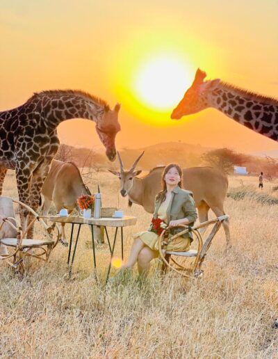 about us Freeingo Safaris