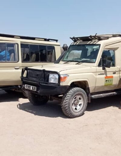 about us Freeingo Safaris