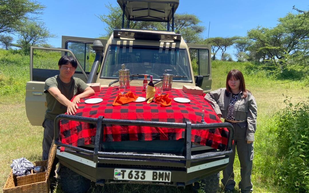 Romantic Tanzania Safari: The Ultimate Guide to an Unforgettable Honeymoon