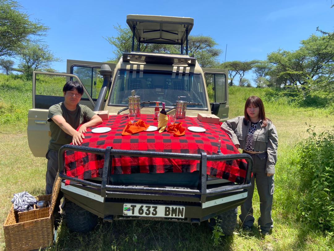 Romantic Tanzania Safari: The Ultimate Guide to an Unforgettable Honeymoon Freeingo Safaris