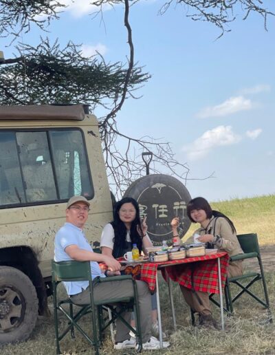 Safari Stories Freeingo Safaris