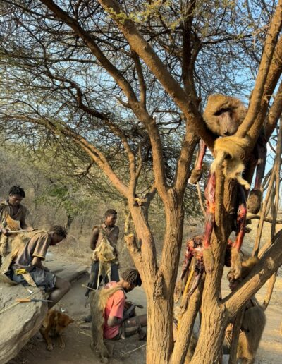 Safari Stories Freeingo Safaris