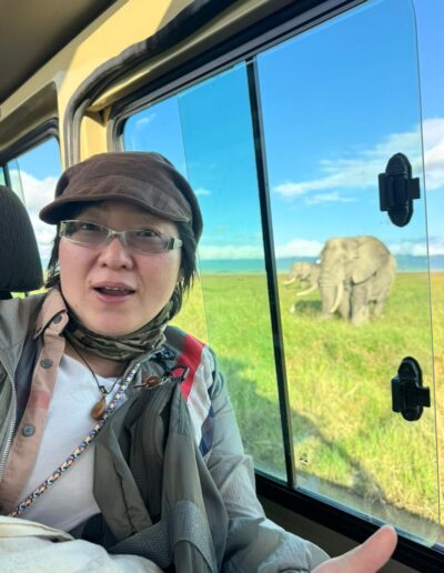 Safari Stories Freeingo Safaris