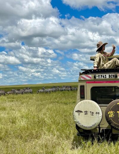 Safari Stories Freeingo Safaris