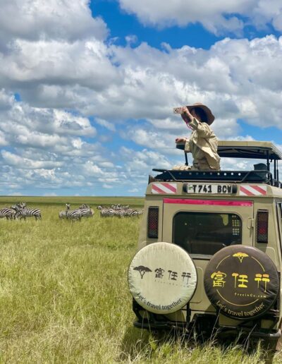 Safari Stories Freeingo Safaris