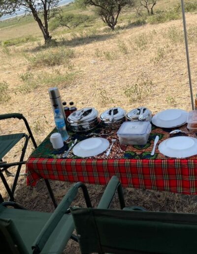 Safari Stories Freeingo Safaris