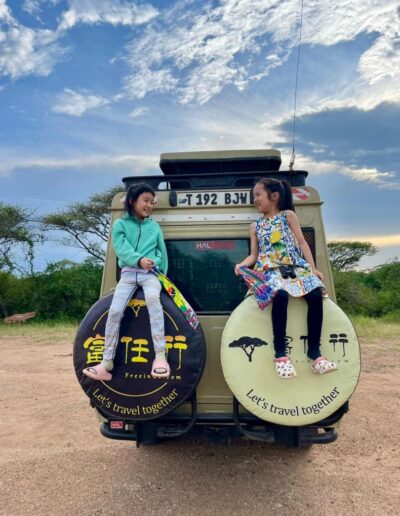 Safari Stories Freeingo Safaris
