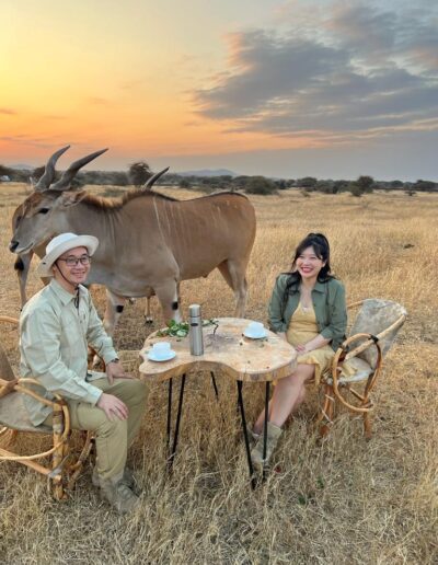 Safari Stories Freeingo Safaris