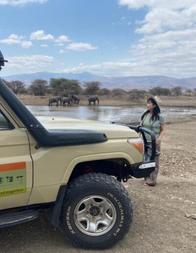 Safari Stories Freeingo Safaris