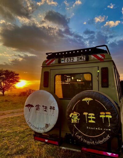 Safari Stories Freeingo Safaris